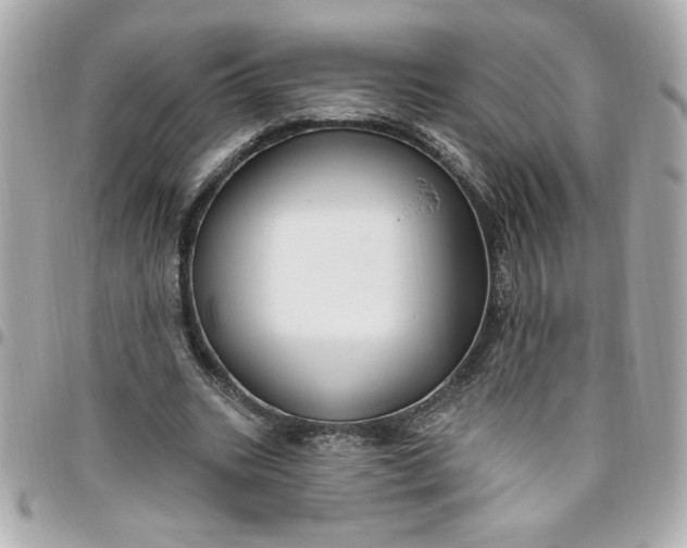 X0000096490535200802071944