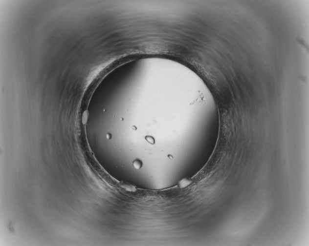 X0000096490536200802071944