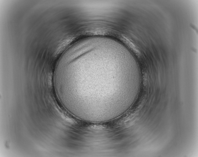 X0000096490537200802071944