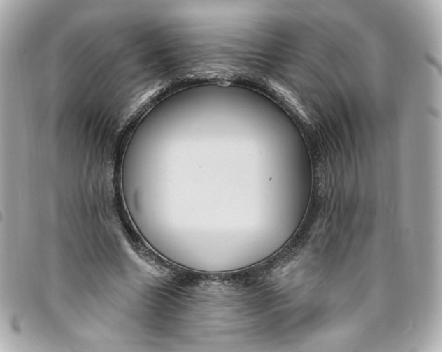 X0000096490538200802071944