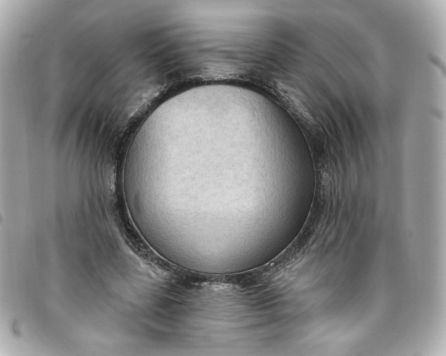 X0000096490539200802071944