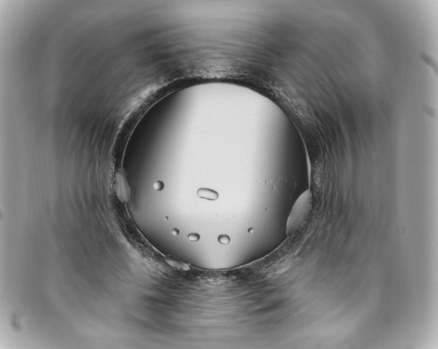 X0000096490540200802071944