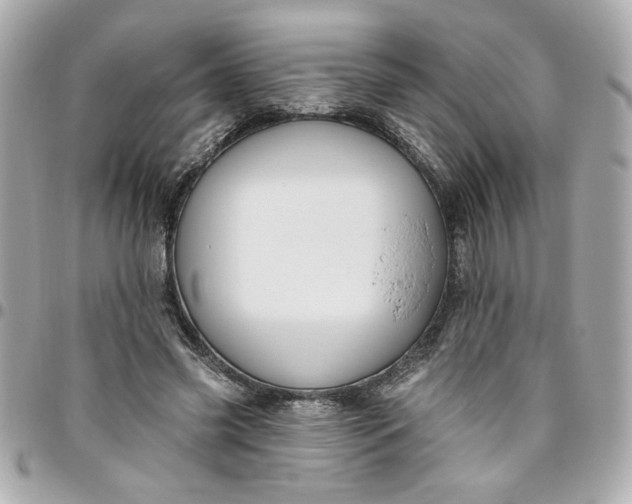 X0000096490541200802071944