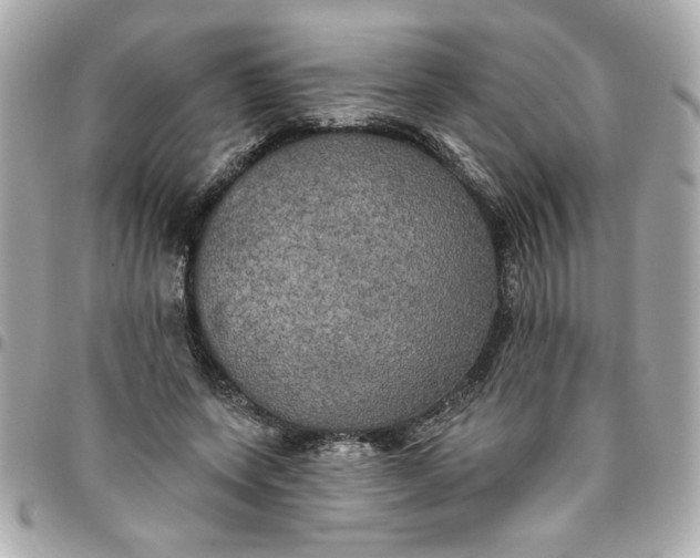 X0000096490543200802071944