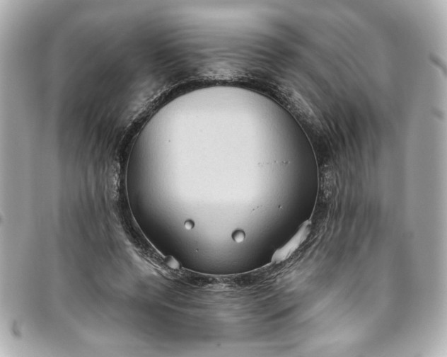 X0000096490544200802071944