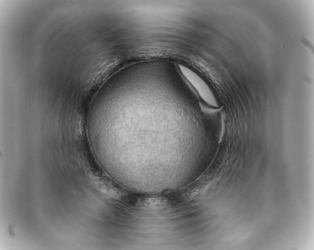 X0000096490546200802071945