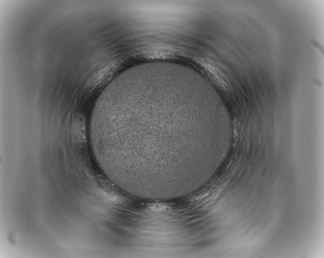 X0000096490547200802071945