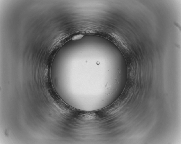 X0000096490548200802071945