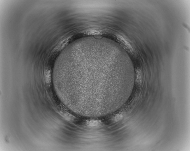 X0000096490549200802071945