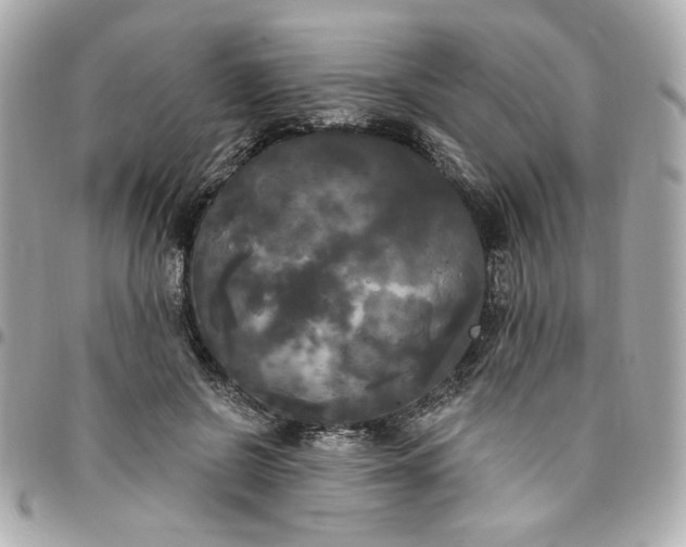 X0000096490550200802071945