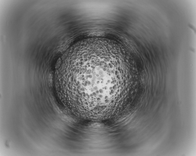 X0000096490551200802071945