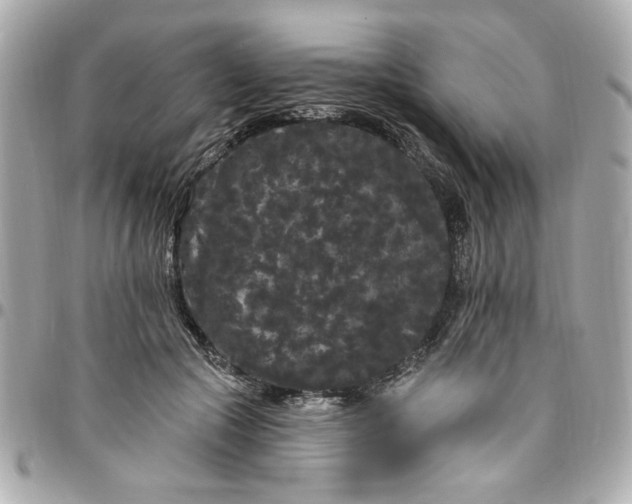 X0000096490553200802071945