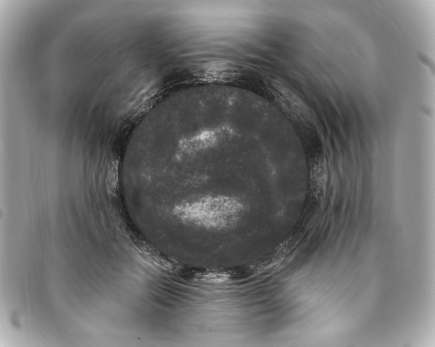 X0000096490554200802071945