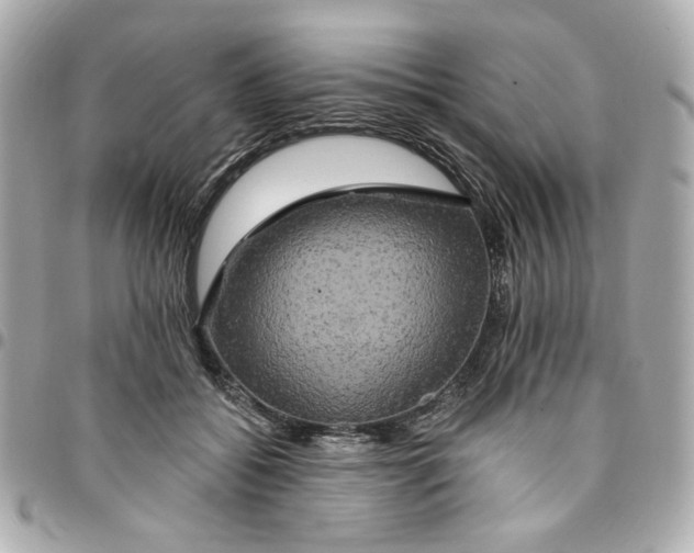 X0000096490556200802071945