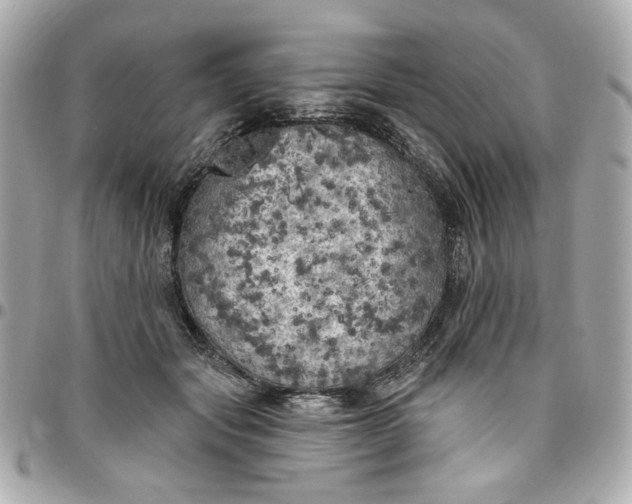 X0000096490557200802071945