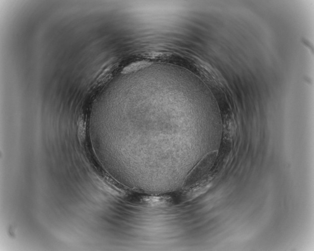 X0000096490558200802071945