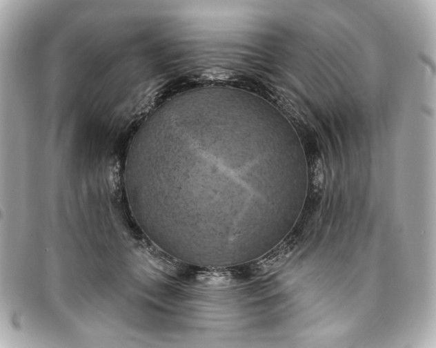 X0000096490559200802071945