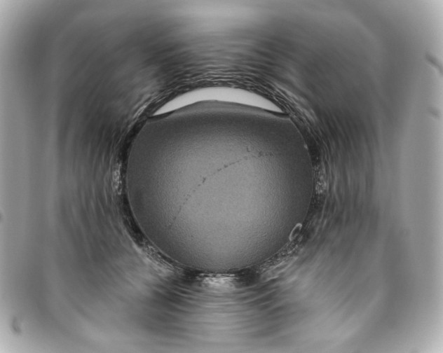 X0000096490560200802071945