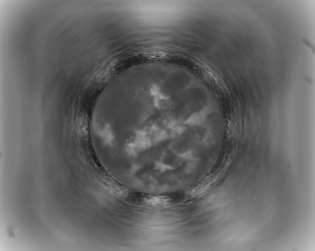 X0000096490561200802071945