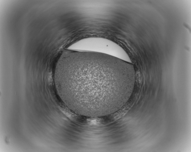 X0000096490564200802071945