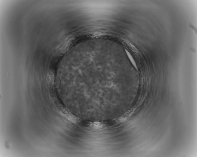 X0000096490565200802071945