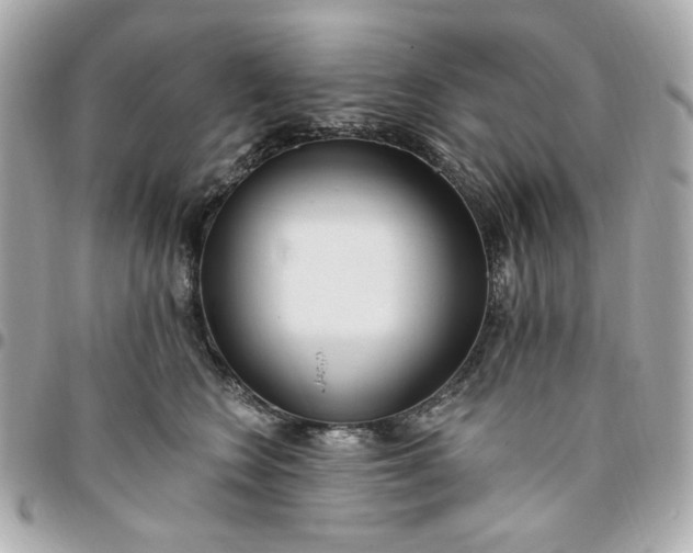 X0000096490566200802071945