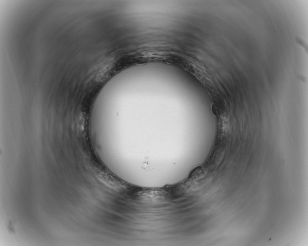 X0000096490567200802071945