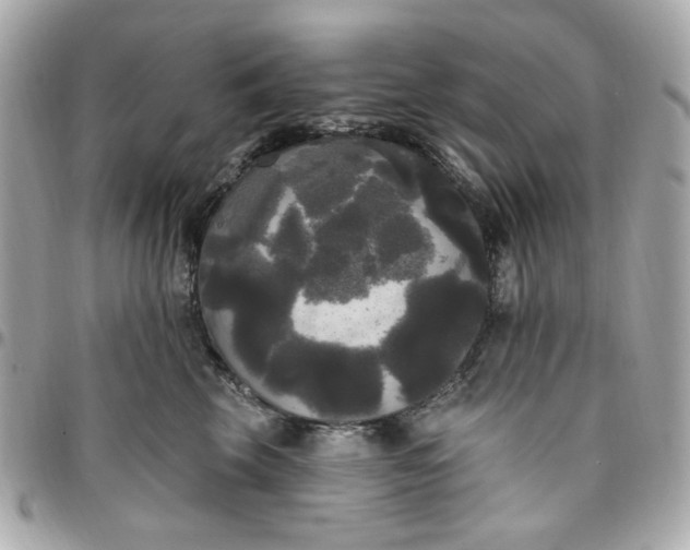 X0000096490569200802071945