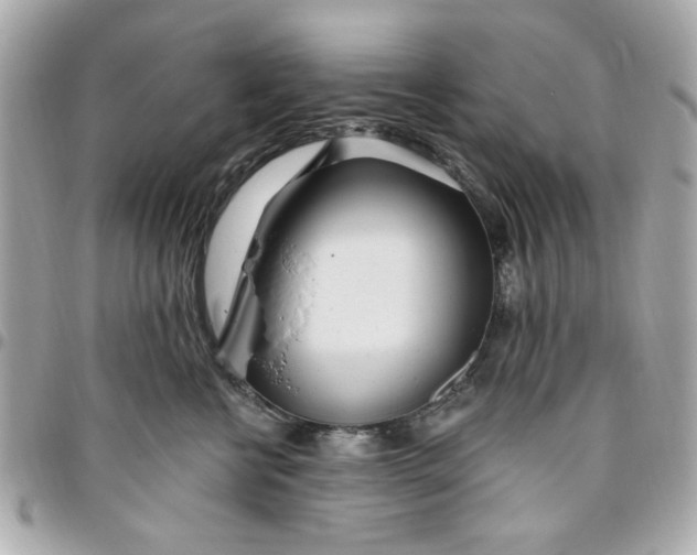 X0000096490570200802071945