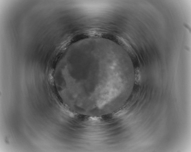 X0000096490573200802071945