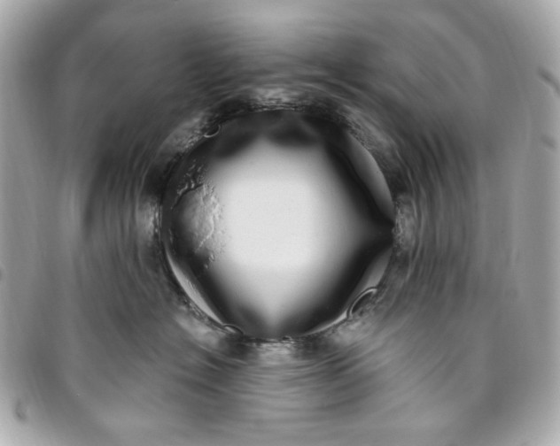 X0000096490574200802071945