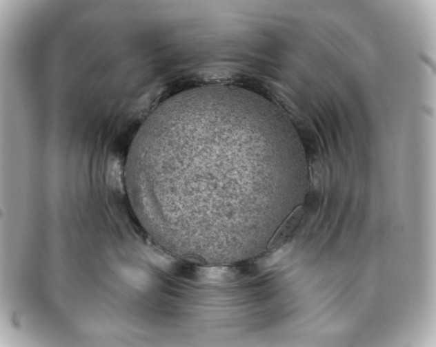 X0000096490575200802071945