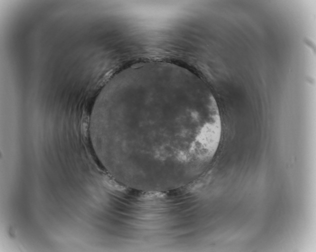 X0000096490576200802071945