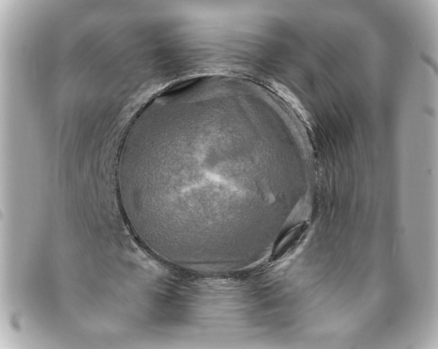 X0000096490577200802071944