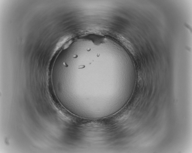 X0000096490578200802071944