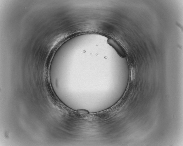 X0000096490579200802071944