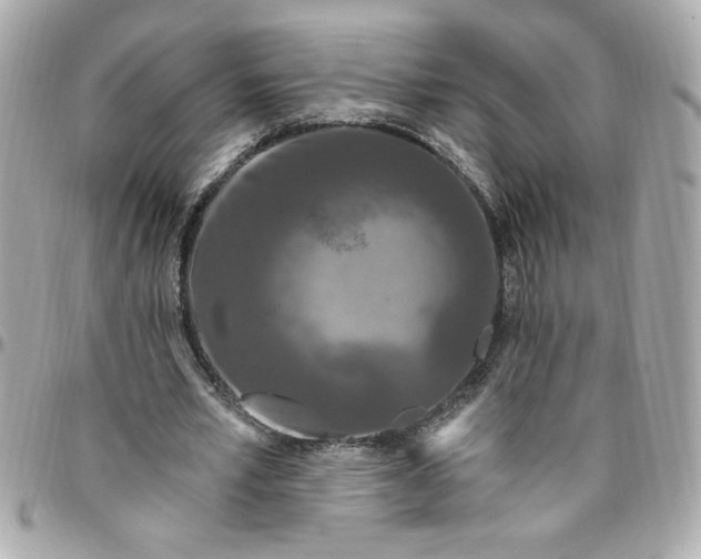 X0000096490581200802071944