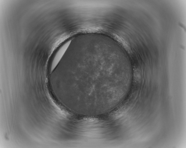 X0000096490582200802071944