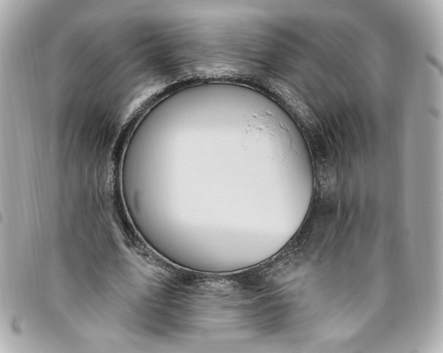 X0000096490583200802071944