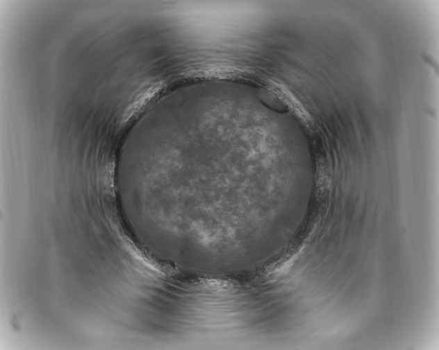 X0000096490585200802071944