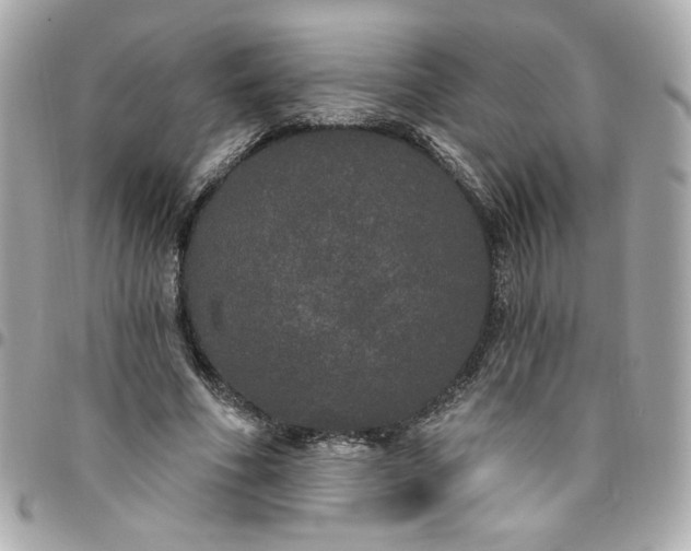 X0000096490586200802071944