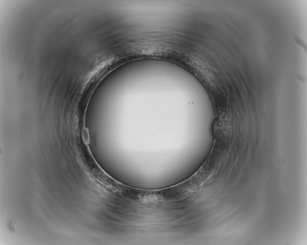 X0000096490587200802071944