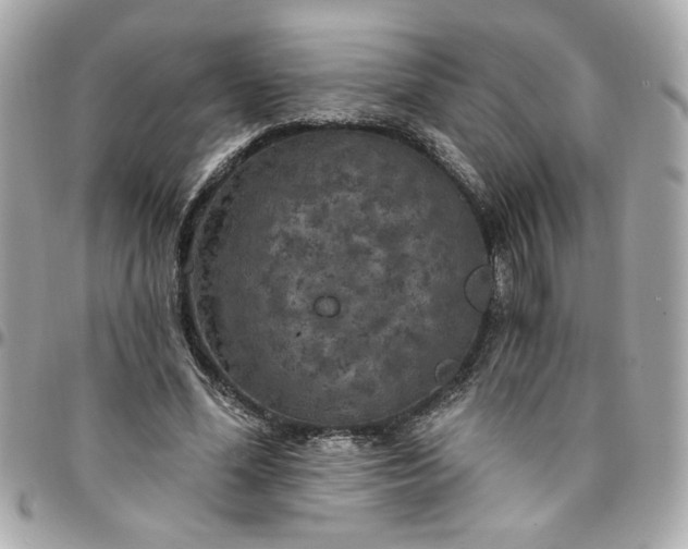 X0000096490588200802071944