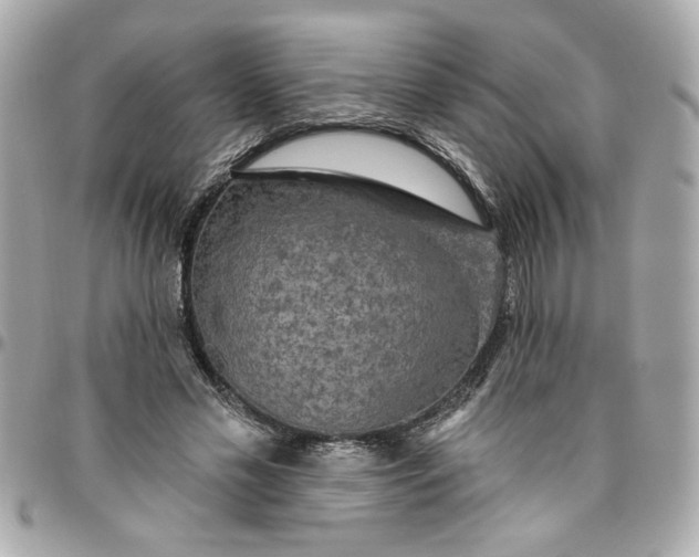 X0000096490589200802071944