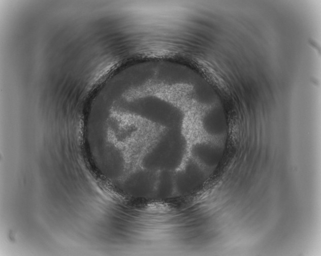 X0000096490591200802071944