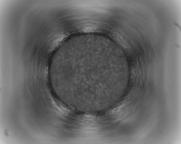 X0000096490592200802071944