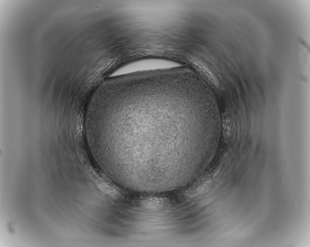 X0000096490593200802071944