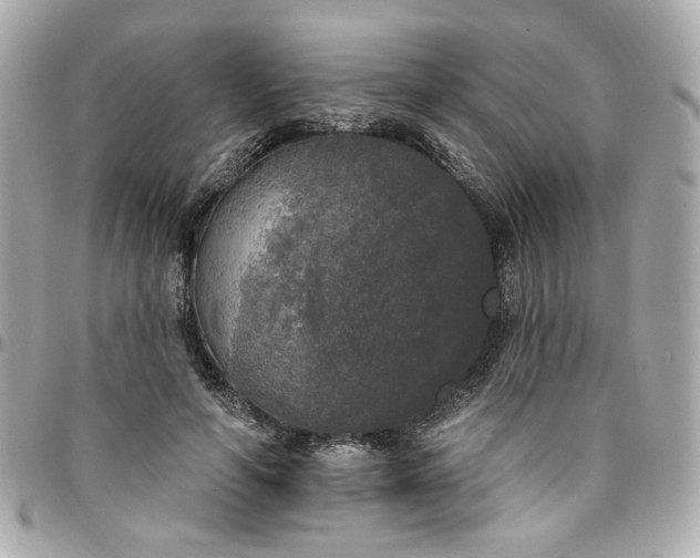 X0000096490594200802071944