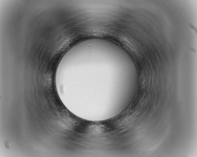 X0000096490595200802071944