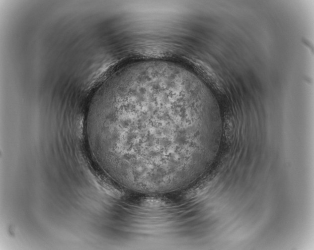 X0000096490596200802071944